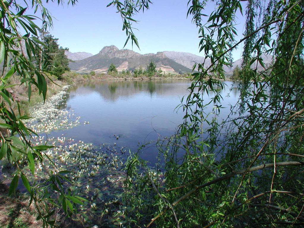 La Verdure Fruit Farm Franschhoek Zimmer foto